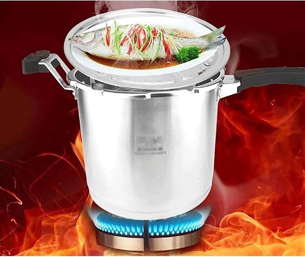 304-stainless-steel-pressure-cooker-t-sh-3.jpg