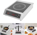 commercial-induction-cooktop-countertop--2.jpg