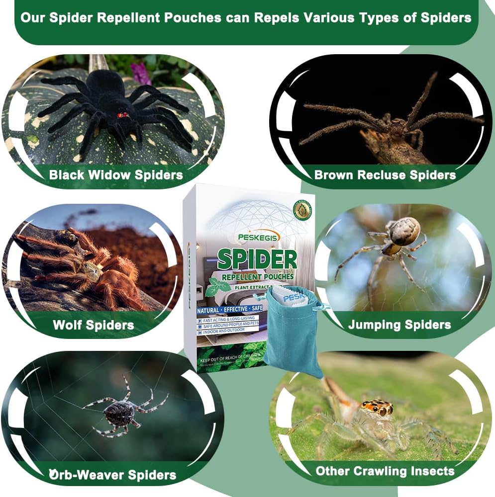 10-pack-powerful-spider-repellent-indoor-4.jpg
