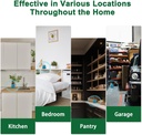 10-pack-powerful-spider-repellent-indoor-6.jpg