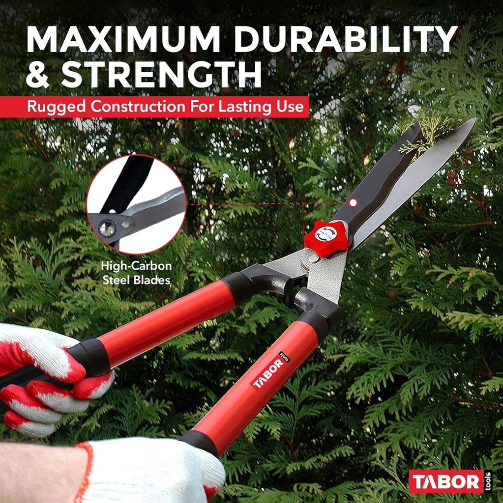 tabor-tools-b620a-hedge-shears-with-wavy-4.jpg