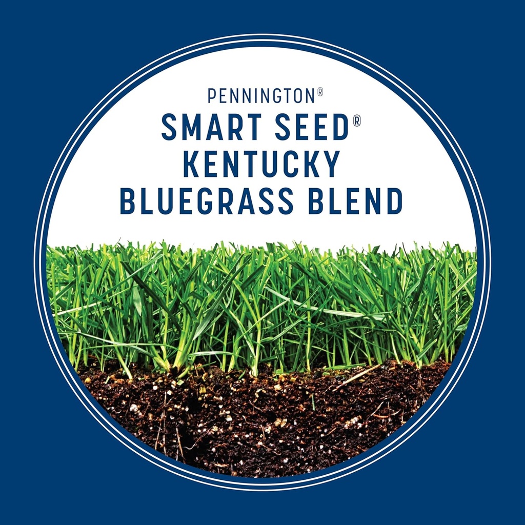 pennington-smart-seed-kentucky-blue-gras-5.jpg