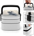 harp-seal-painting-bento-box-adult-lunch-5.jpg