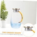 gleavi-glass-water-pitcher-with-stainles-6.jpg
