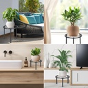 5-pack-metal-plant-stand-anti-rust-iron--6.jpg