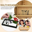 vanzack-6pcs-mini-zen-garden-rake-versat-4.jpg