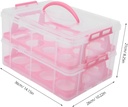 alipis-clear-cake-carrier-box-reusable-h-2.jpg
