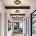 flush-mount-ceiling-light-with-water-rip-6.jpg