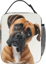 insulated-lunch-box-for-women-men-boxer--3.jpg
