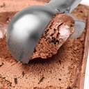 premium-ice-cream-scoop-with-trigger-ice-4.jpg