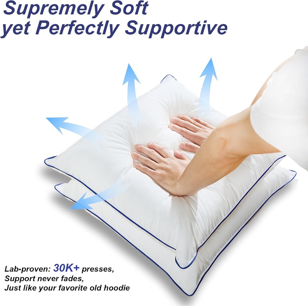12-x-20-pillow-insert-set-of-2-indoor-th-4.jpg