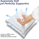 12-x-20-pillow-insert-set-of-2-indoor-th-4.jpg