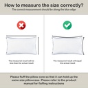 12-x-20-pillow-insert-set-of-2-indoor-th-5.jpg