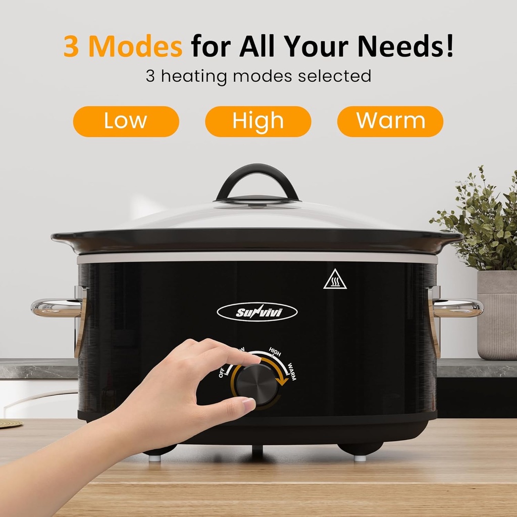 sunvivi-slow-cooker-4-quart-and-2-pot-sm-3.jpg