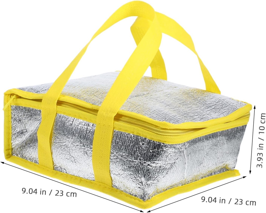 10-pack-insulated-pizza-bag-bike-bag-for-2.jpg