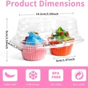 50-pcs-2-compartment-cupcake-containers--2.jpg