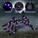 halloween-spider-decorations-4ft-light-u-2.jpg