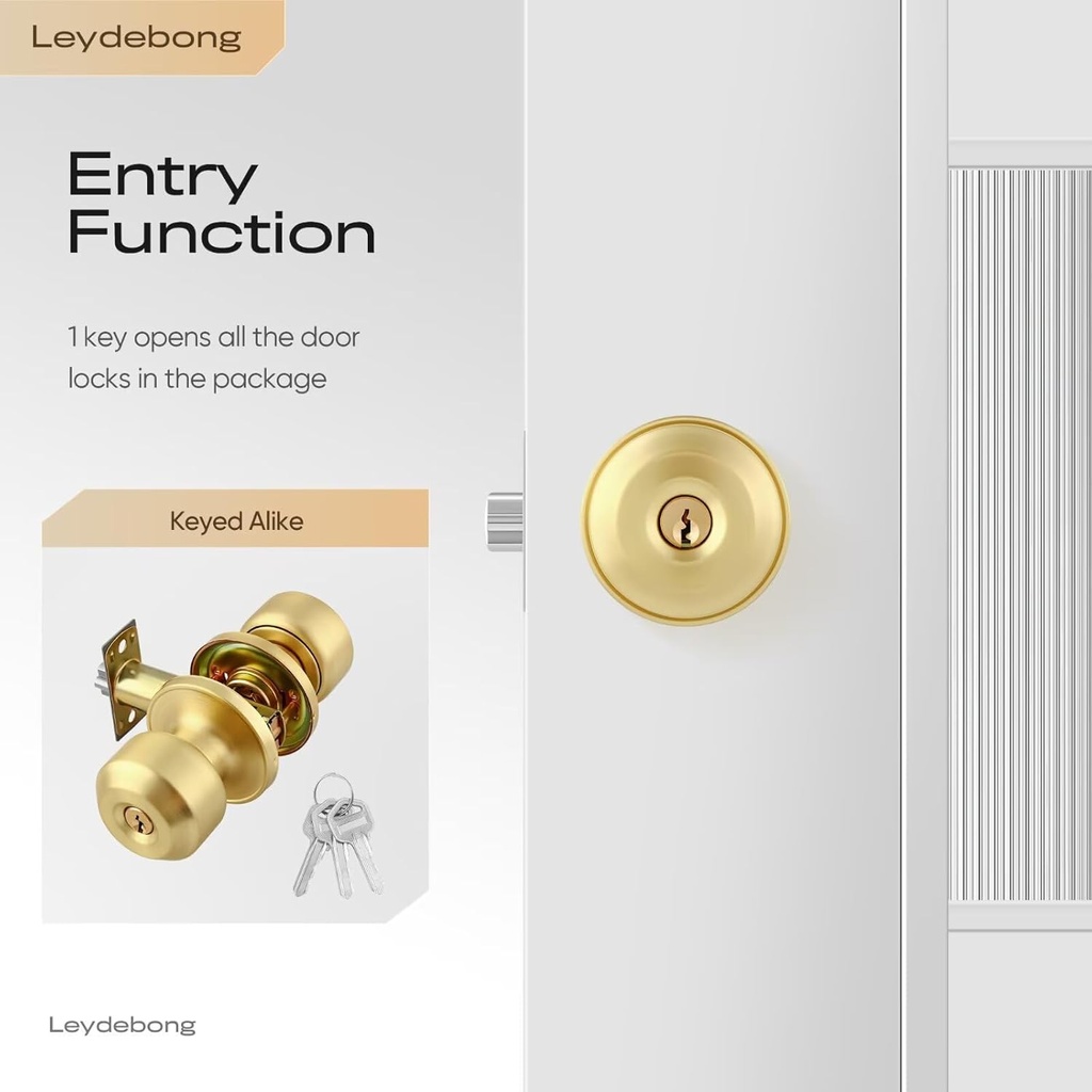 leydebong-6-pack-keyed-entry-door-knob-g-3.jpg