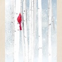 cafepress-red-cardinal-bird-snow-birch-t-2.jpg