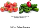 aerogarden-salsa-garden-seed-pod-kit-9-p-2.jpg