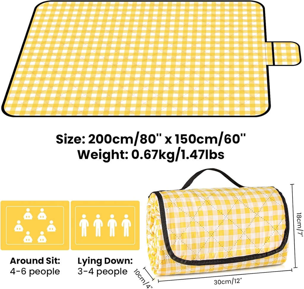 extra-large-picnic-outdoor-blanket2-mx15-2.jpg