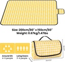 extra-large-picnic-outdoor-blanket2-mx15-2.jpg