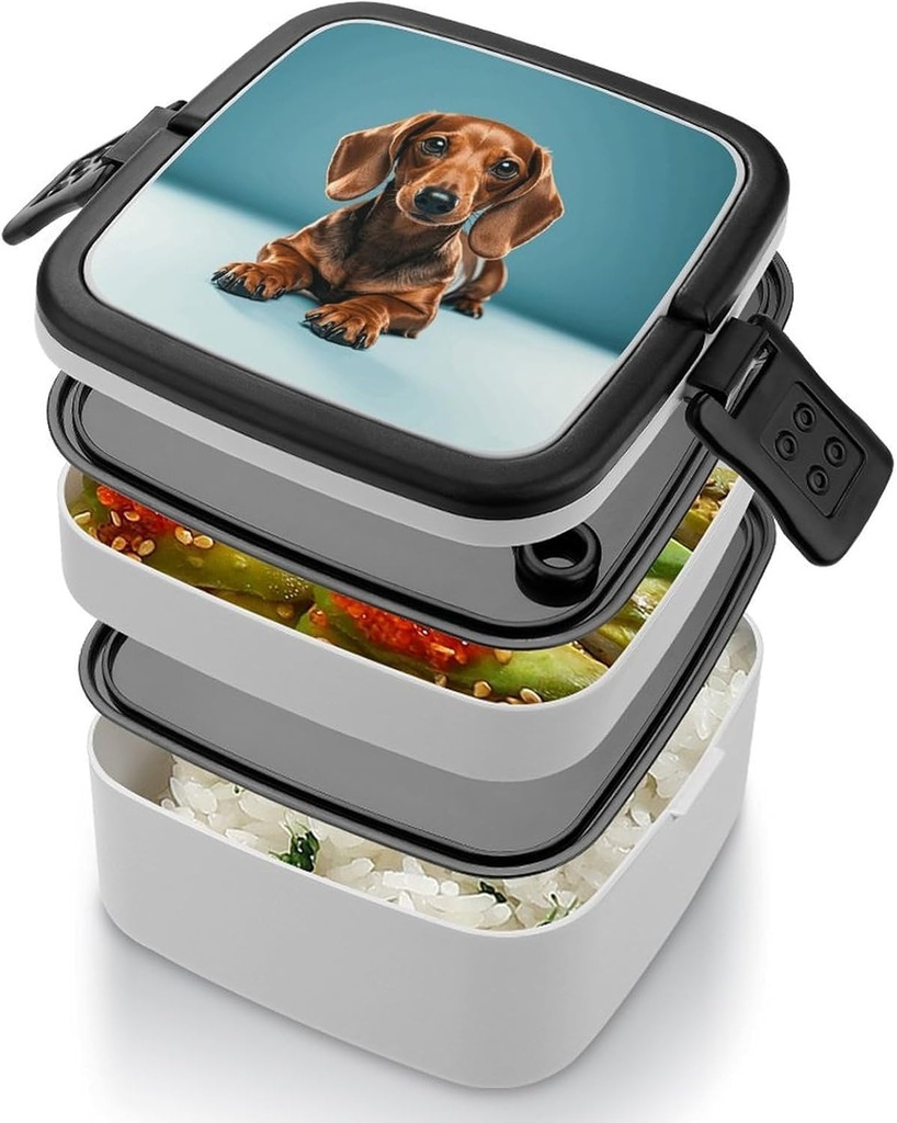 cute-dachshound-dogs-bento-box-with-spoo-4.jpg