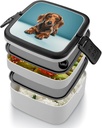 cute-dachshound-dogs-bento-box-with-spoo-4.jpg
