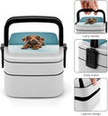 cute-dachshound-dogs-bento-box-with-spoo-5.jpg