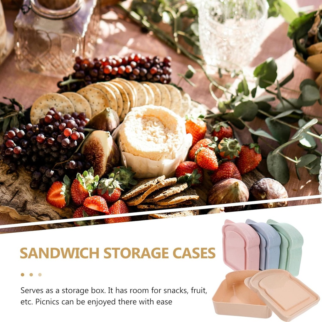reusable-sandwich-containers-for-lunch-b-3.jpg