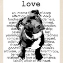 cafepress-pit-bull-love-tote-bag-reusabl-3.jpg