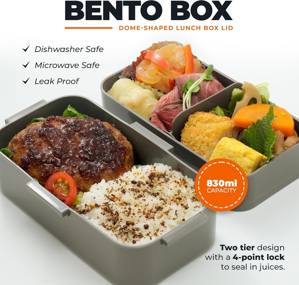 2-tier-bento-lunch-box-microwave-dishwas-2.jpg