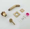 dalang-wall-mount-faucet-brushed-gold-ba-5.jpg