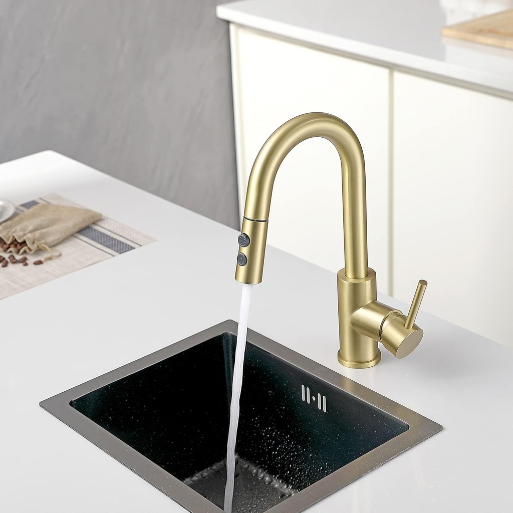 gold-bar-faucet-with-sprayer-single-hole-6.jpg