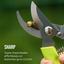 2-pack-stainless-steel-gardening-scissor-4.jpg