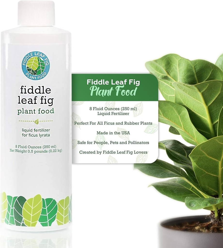 fiddle-leaf-fig-plant-food-312-balanced--4.jpg