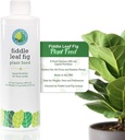 fiddle-leaf-fig-plant-food-312-balanced--4.jpg