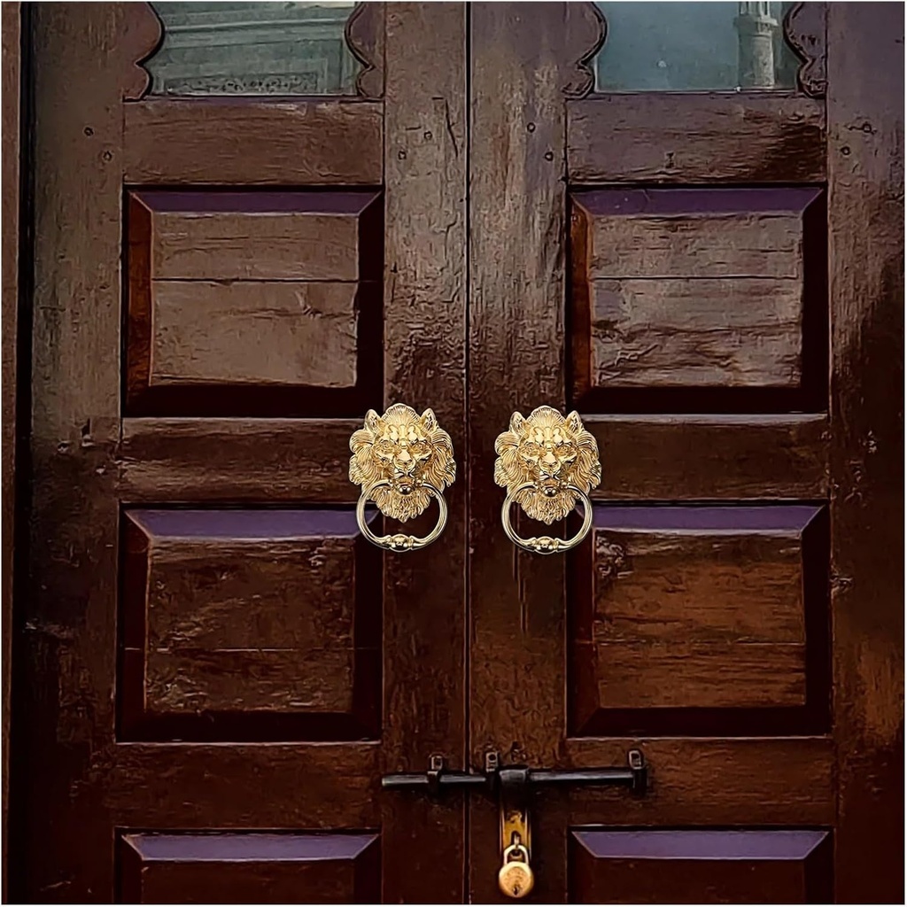 door-knocker-front-door-knockers-lion-he-2.jpg