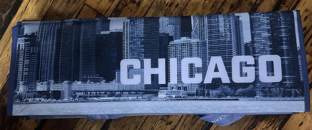 chicago-skyline-printed-reusable-bag-new-4.jpg
