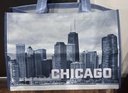chicago-skyline-printed-reusable-bag-new-6.jpg