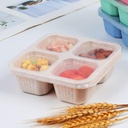 8-pack-bento-snack-containers-set-4-comp-2.jpg
