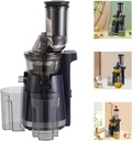 electric-juicer250w-cold-press-juicer-ma-4.jpg