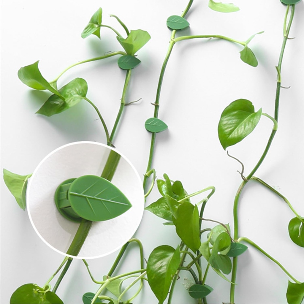luotivon-72-pcs-plant-climbing-wall-fixt-5.jpg