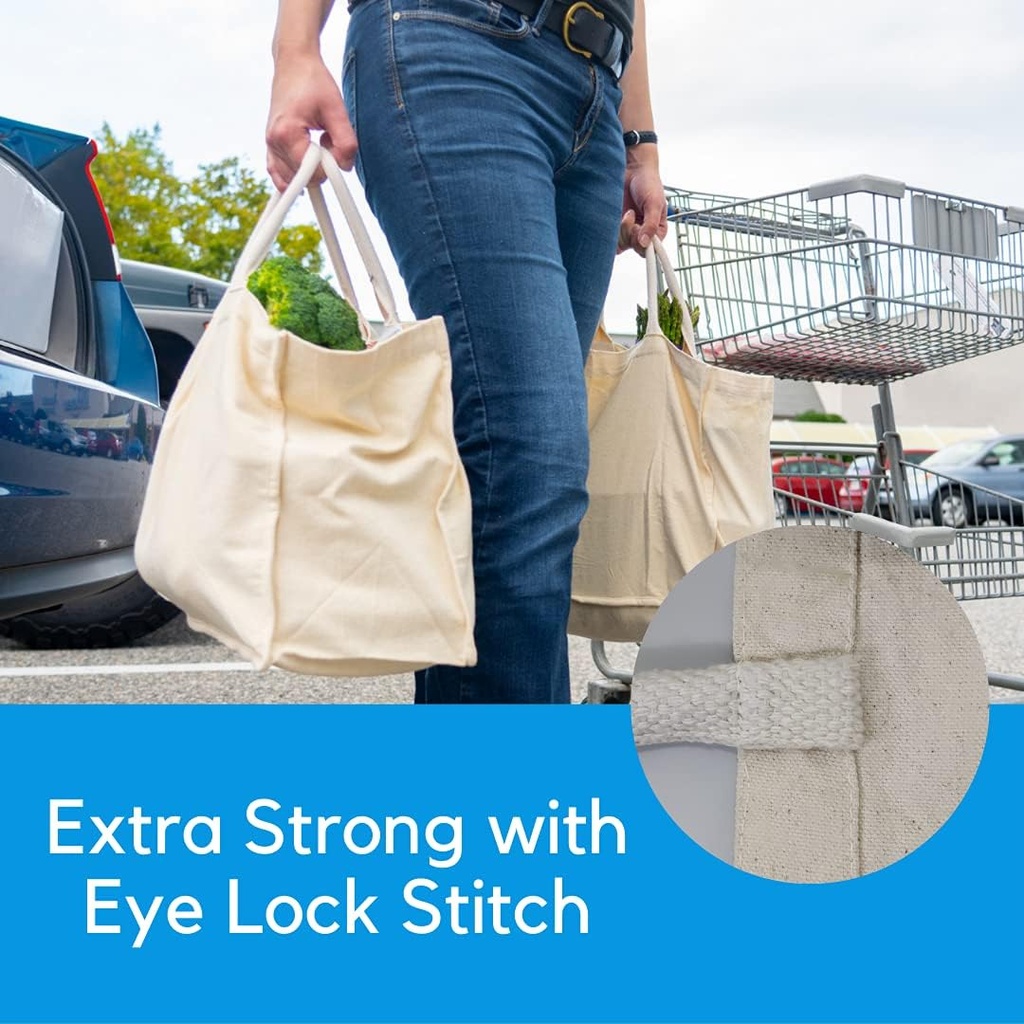 homely-connect-canvas-grocery-bag-for-gr-3.jpg