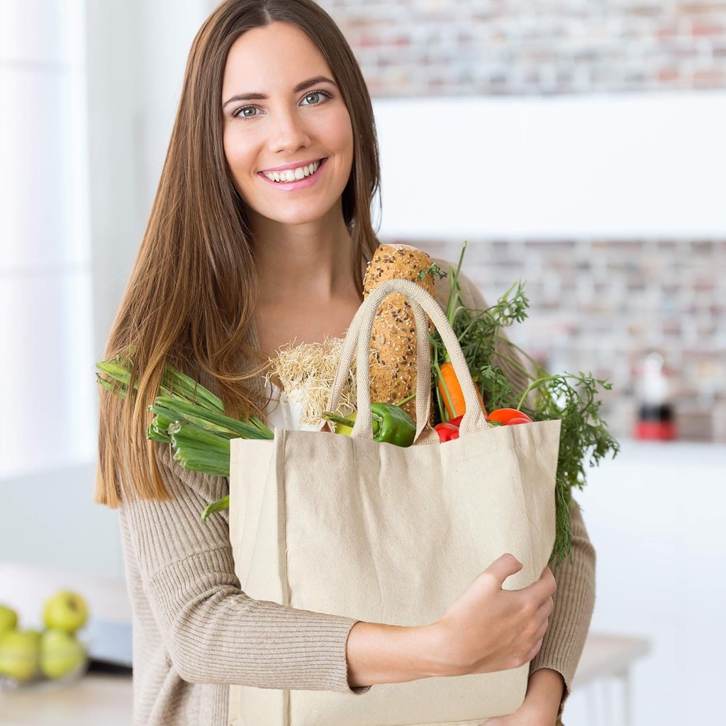 homely-connect-canvas-grocery-bag-for-gr-6.jpg