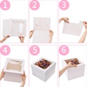cake-boxes3-pack-clear-tall-cake-box-10x-4.jpg