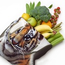 tiger-canvas-tote-bag-reusable-grocery-b-5.jpg