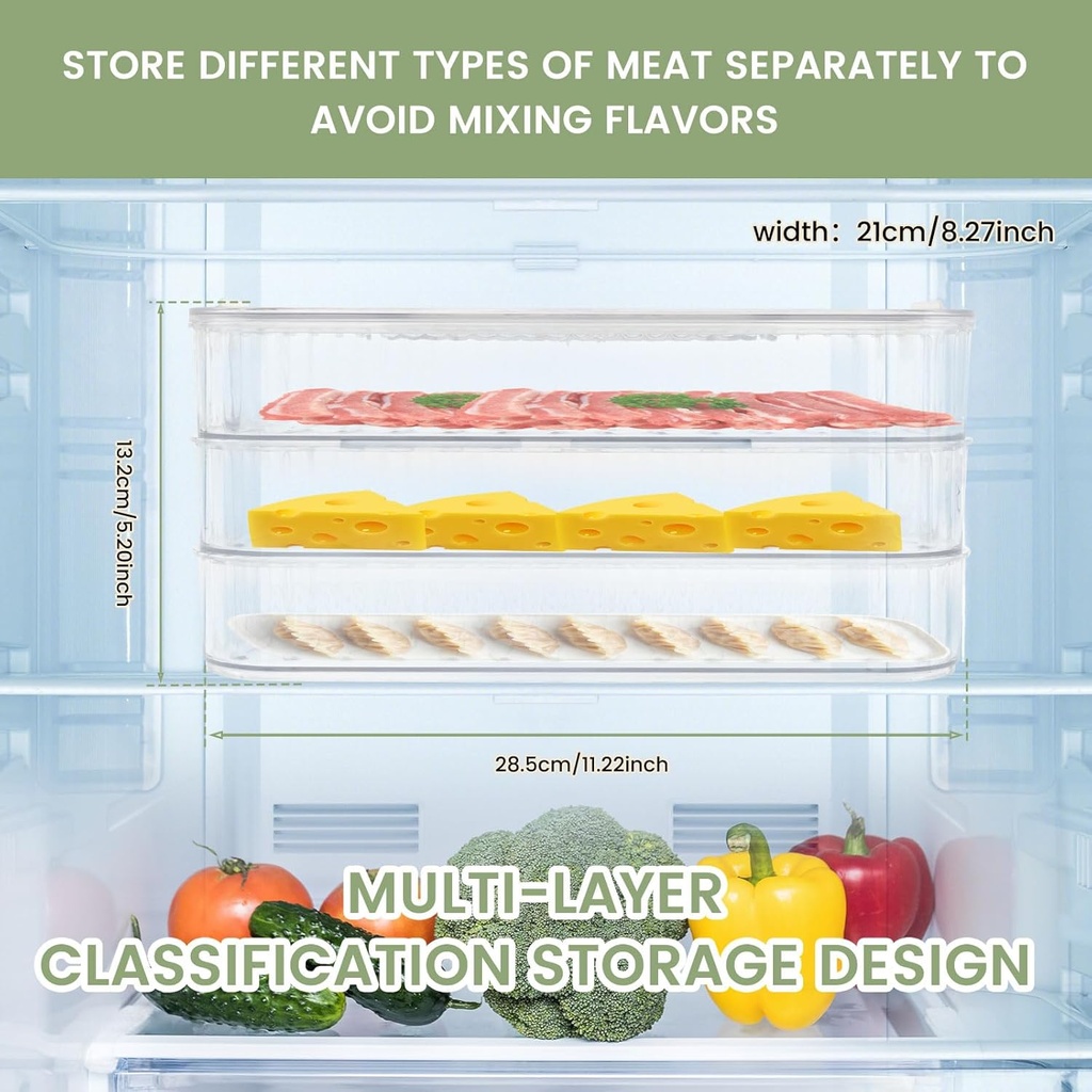34-tier-deli-meat-container-for-fridge-r-3.jpg