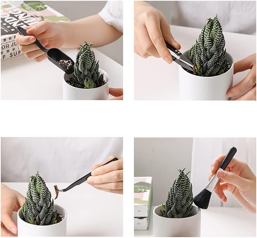 alnicov-14-pcs-succulent-plants-toolssuc-4.jpg