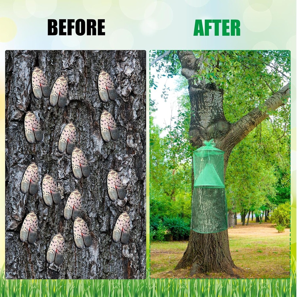 qualirey-2-pack-spotted-lanternfly-traps-6.jpg